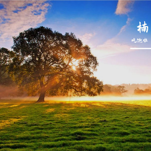 20240322_211306转换格式