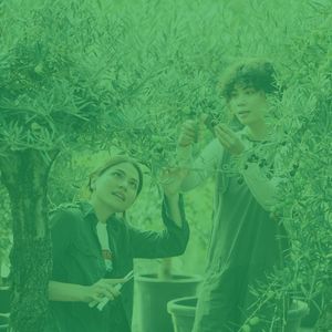 诗意的安静的星期日节奏