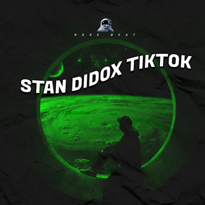 Stan Didox TikTok (Remix)
