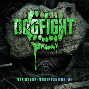 The First Year (Tears Of Fury Mashup)