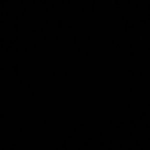 DON‘T TALK FREESTYLE