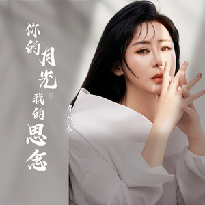 你的月光我的思念