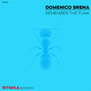 Remember The Funk (Original Mix)