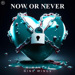 Now Or Never (Praveen & XZEN Remix)