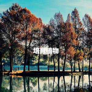 Vintage Invisible Success