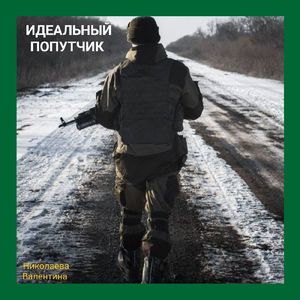 Идеальный попутчик