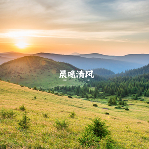 心灵之泉 (睡前安谧)