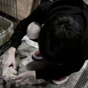没有你我该怎么办