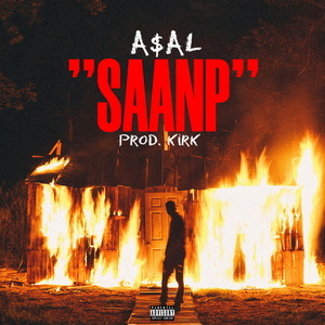 SAANP