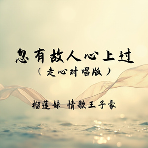 忽有故人心上过(走心对唱版)