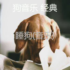 睡觉的小狗-可爱