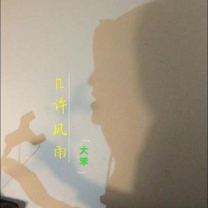 几许风雨（live）