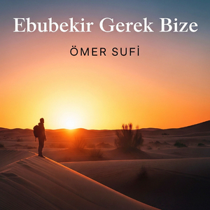 Ebubekir Gerek Bize