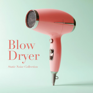 Hood Hair Dryers