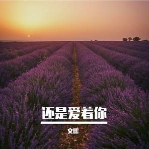 还是爱着你