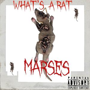 Whats A Rat