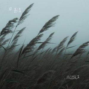 风过无声