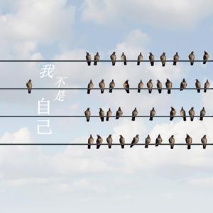 我不是自己(伴奏)