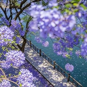 萤火之森（钢琴曲）