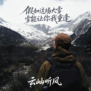 假如这场大雪能让你我重逢