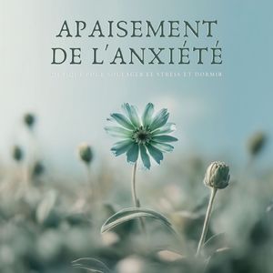 Méditation Silencieuse