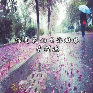 你是花雨里的琳琅