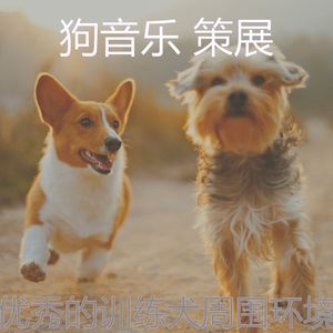 有趣睡狗情怀