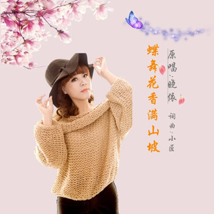 蝶舞花香满山坡DJ