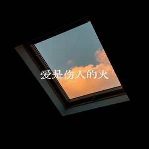 爱是伤人的火