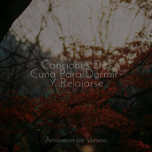 Ecos de Flores Moribundas