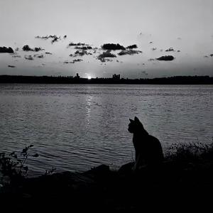 6xas-列车开往八音盒（李博 remix）