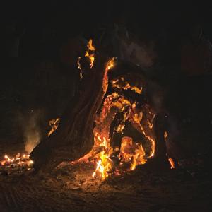 僕が死のうと思ったのは(曾经我也想过一了百了)