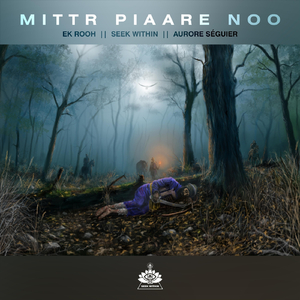 Mittr Piaare Noo