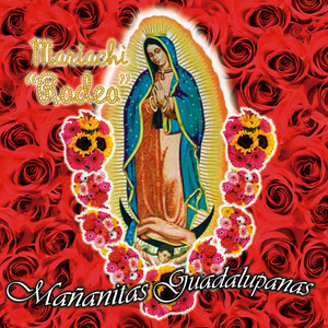 Letanias A La Virgen