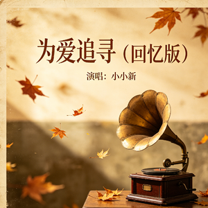 为爱追寻（回忆版）