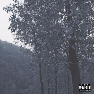 No more smile(Haunt U remix)