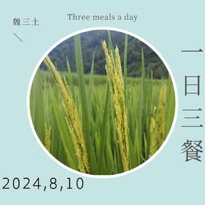 一日三餐