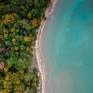 Monster (feat. Lil Yanny)