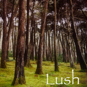 Lush