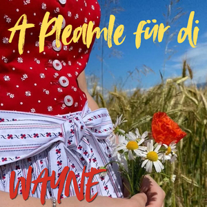 A Pleamle für di