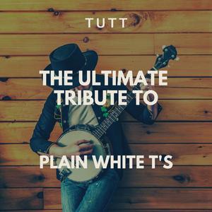 Hate (I Really Don't Like You) (Originally Performed By Plain White T's)