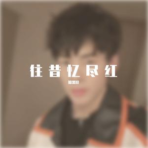 我拿青春爱错人