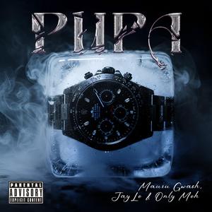 Pupa (feat. Mauru Gwash, JayLo & OnlyMoh)
