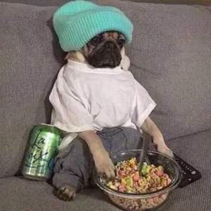 忽而今夏（翻唱）