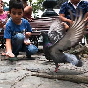 Yuxurmighin Siringni (不要隐瞒你的爱)