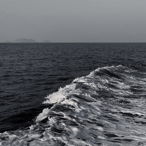 有谁与我给世界还手