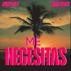 ME NECESITAS