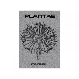 Flaum