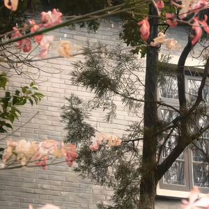 散伙是人间常态 我们又不是什么例外