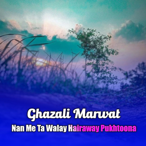 Nan Me Ta Walay Hairaway Pukhtoona